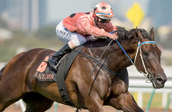 Racehorse Black Caviar